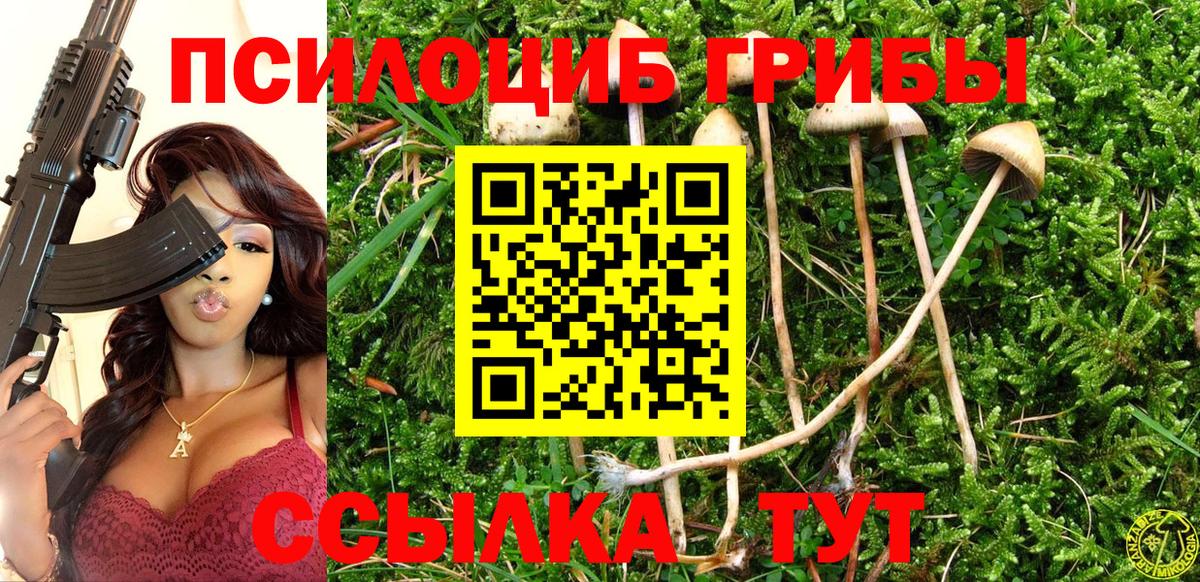 Псилоцибиновые грибы мухоморы Кинель