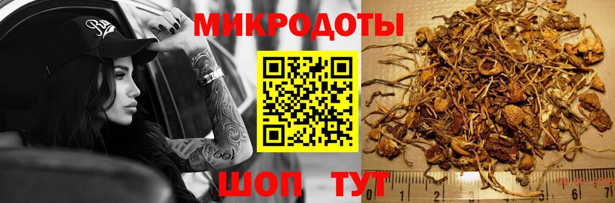 Кинель  Галлюциногенные грибы MAGIC MUSHROOMS  что такое   Вход с VPN 